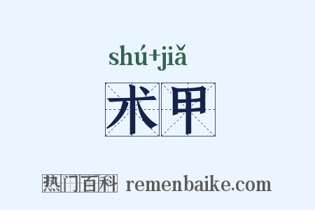 术甲是什么意思的图片